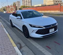بي واي دي كوين L DM-i